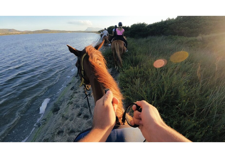 GoPro Head Strap 2.0