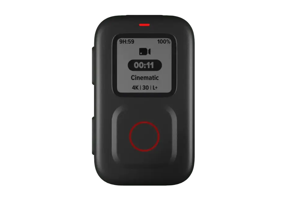 GoPro The Remote