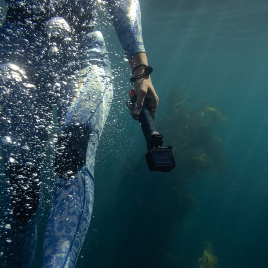 GoPro The Handler