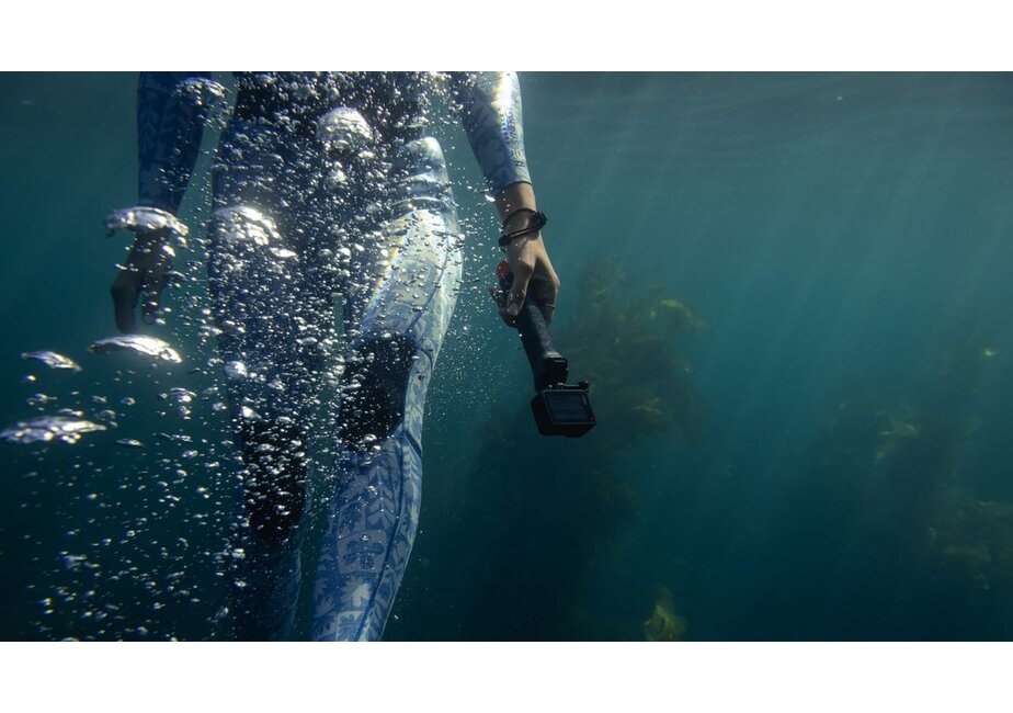 GoPro The Handler