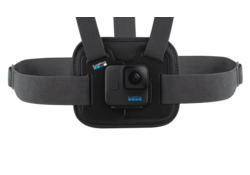 GoPro Chesty