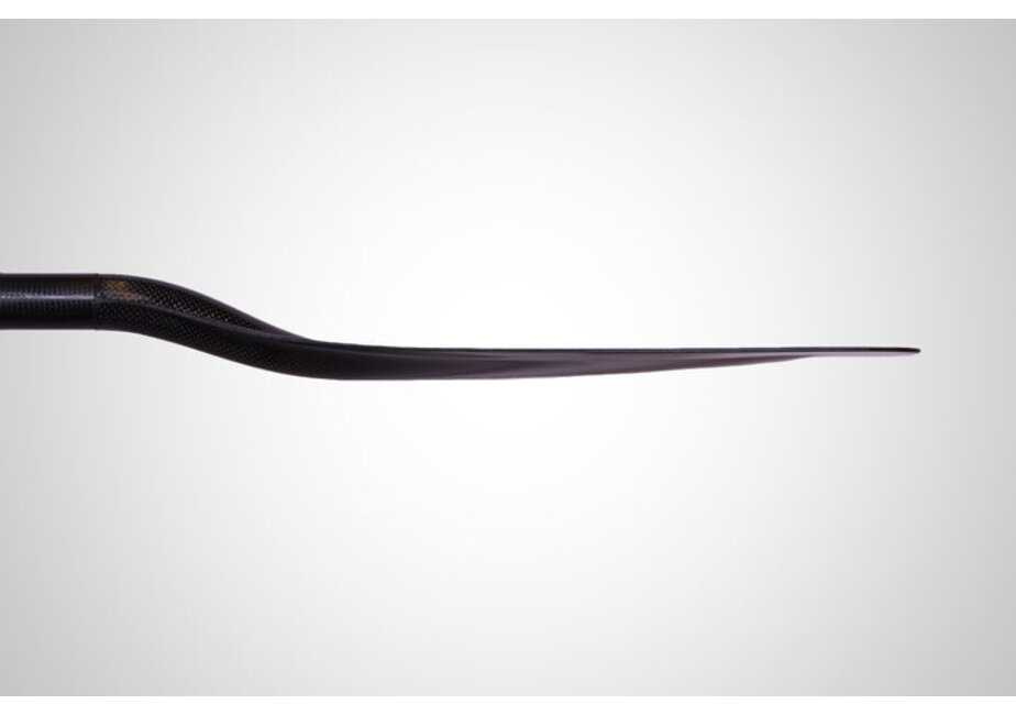 Werner Covert Carbon Paddle
