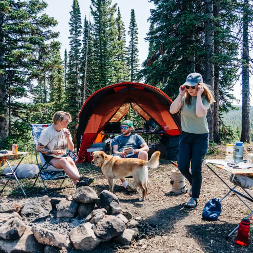 Big Agnes Accessory Mesh Insert Sage Canyon Shelter Plus And Deluxe