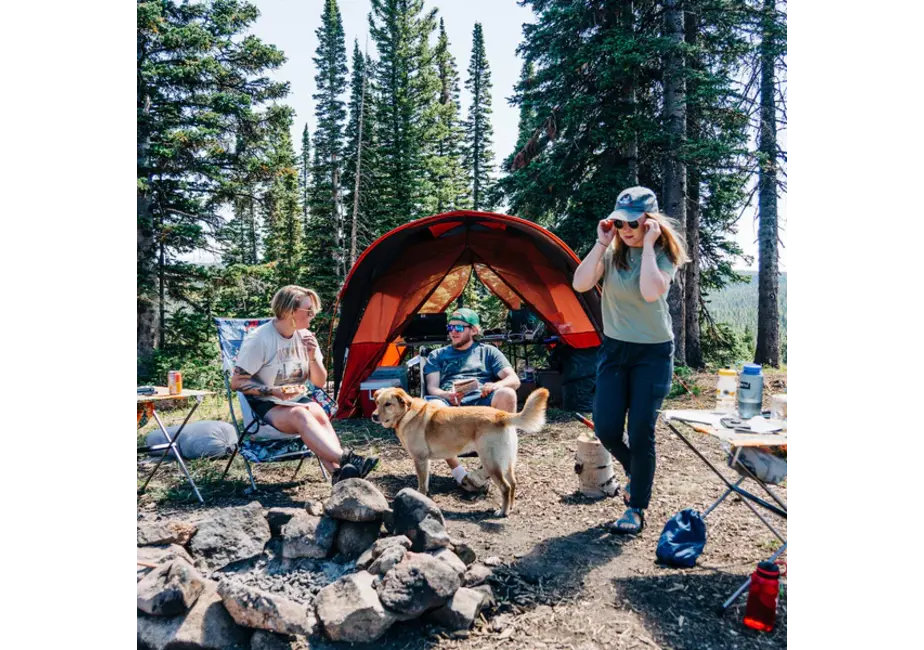 Big Agnes Accessory Mesh Insert Sage Canyon Shelter Plus And Deluxe