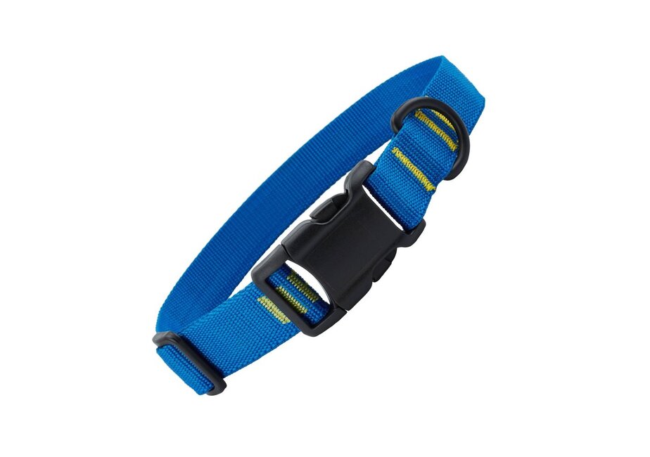 NRS Dog Collar - Closeout*