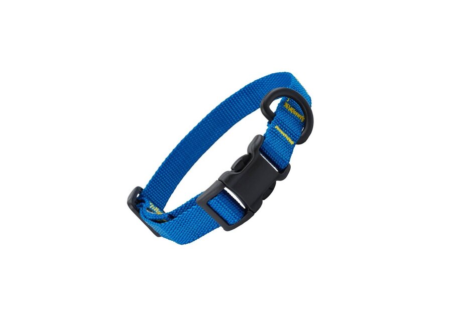 NRS Dog Collar - Closeout*
