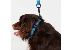NRS Dog Collar - Closeout*