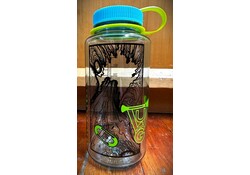 UWG Nalgene 32oz