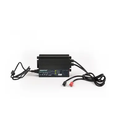 Newport 24V LoPRO LifeP04 Battery Charger