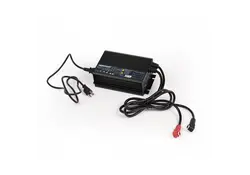 Newport 24V LoPRO LifeP04 Battery Charger
