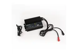 Newport 36V LoPRO LifeP04 Battery Charger