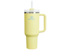 Stanley Quencher H2.0 Flowstate™ TUMBLER | 40 OZ