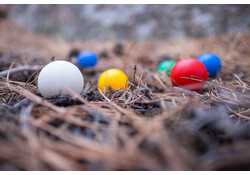 GSI Backpack Bocce Ball