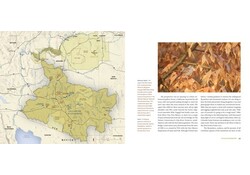 Living River The Promise of the Mighty Colorado