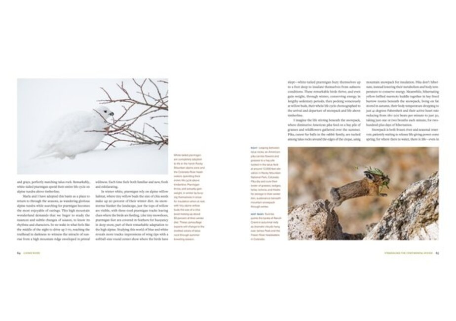 Living River The Promise of the Mighty Colorado