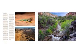 Living River The Promise of the Mighty Colorado