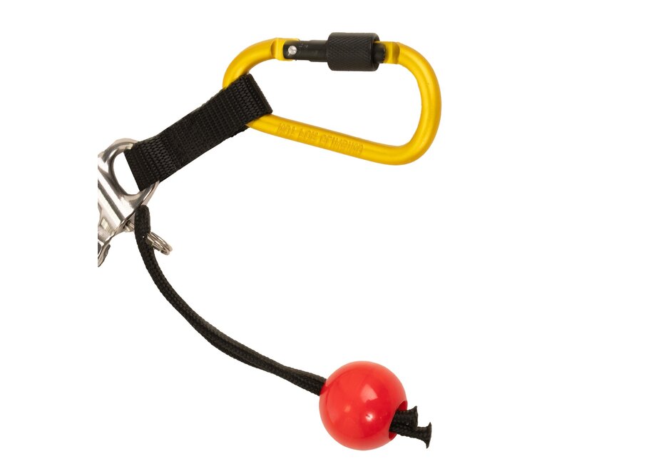 Quick Release Leash