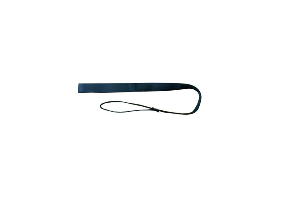 Stand-Assist Strap