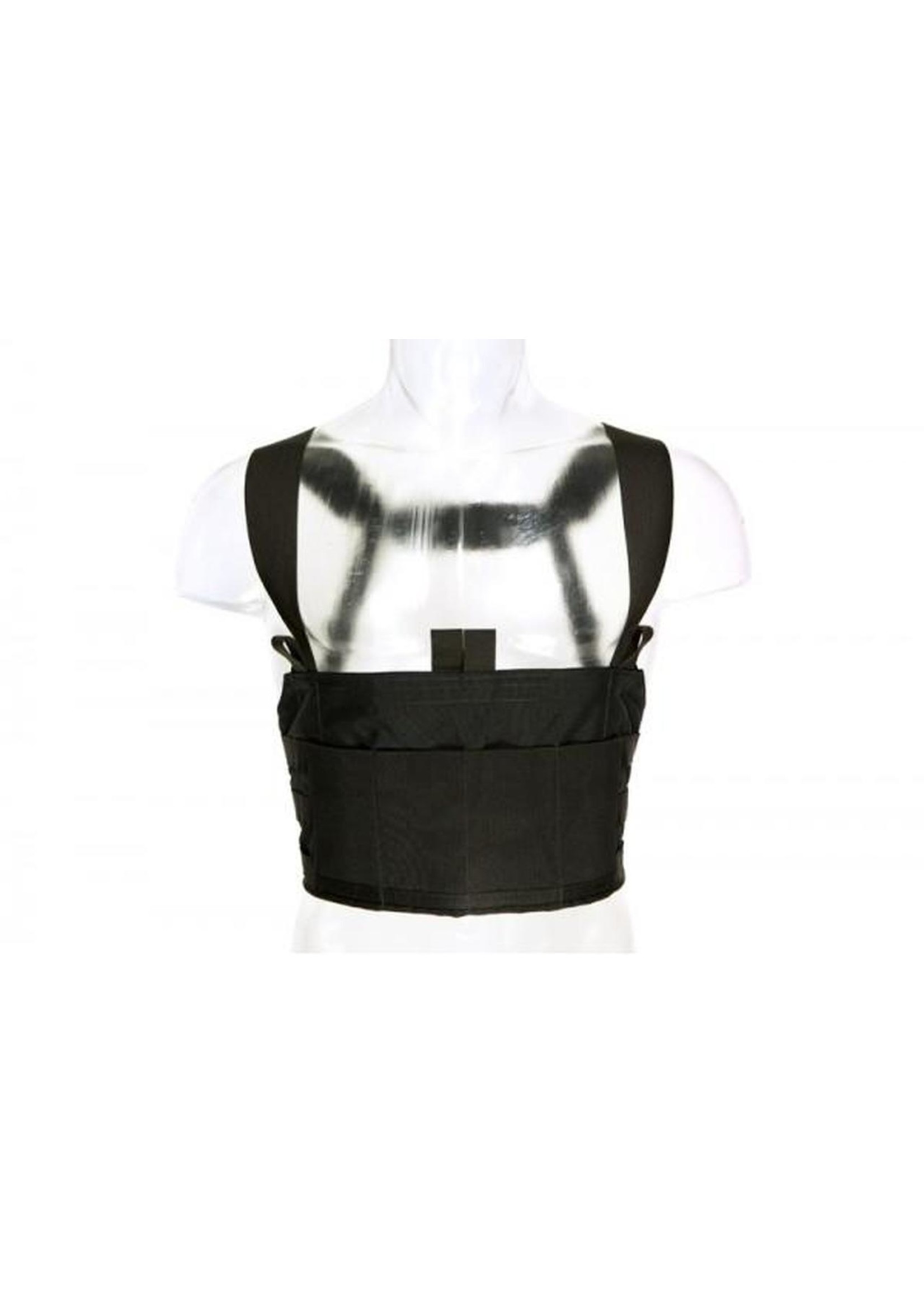 BLUE FORCE GEAR TEN-SPEED M4 CHEST RIG