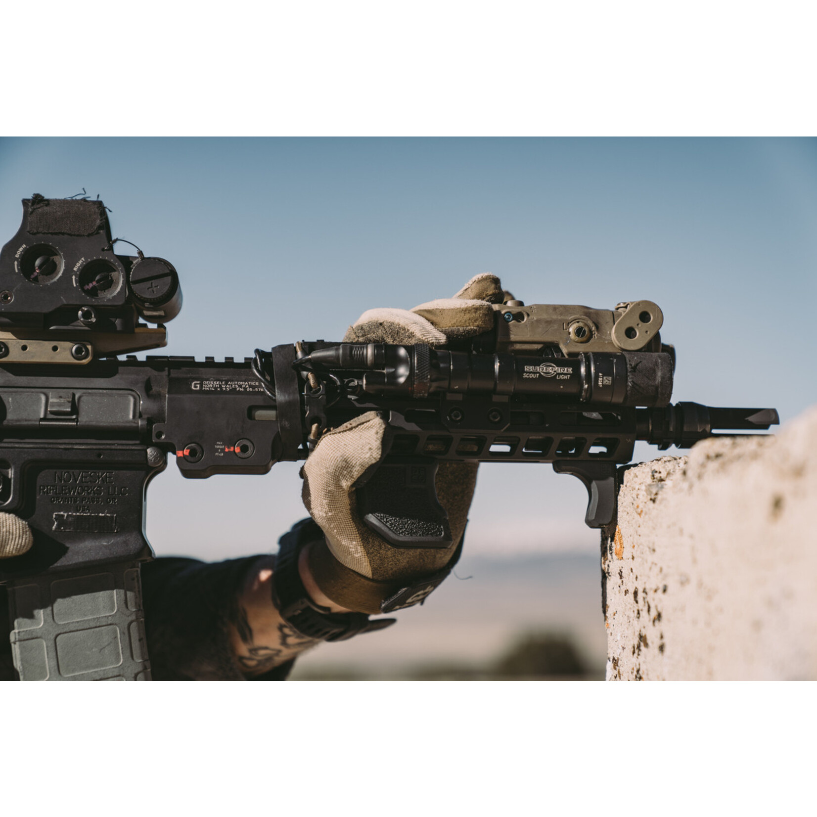 DIE FREE CO FULL STOP