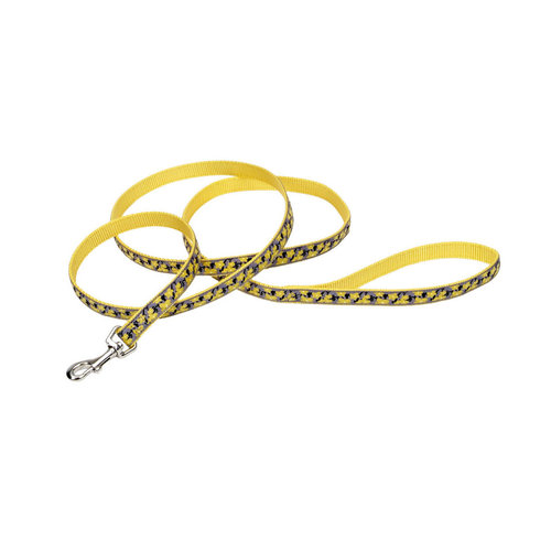 Coastal Correa Ribbon Coastal Correa Ribbon