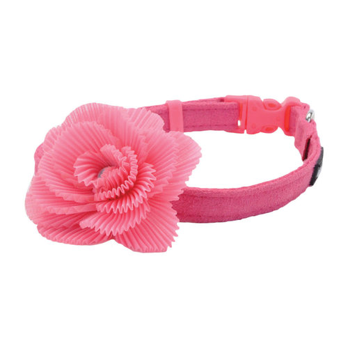 Coastal Collar Li’l Pals® Microfibra Ajustable w/ Pink Flower Coastal Collar Li’l Pals® Microfibra Ajustable w/ Pink Flower