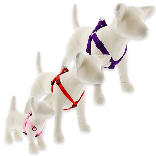 Lupine Pet Arnés Basic Solid Lupine Pet Arnés Basic Solid