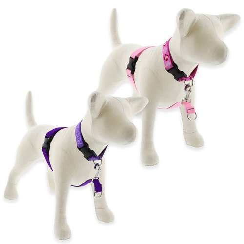 Lupine Pet Arnés No Pull Basic Solid Lupine Pet Arnés No Pull Basic Solid