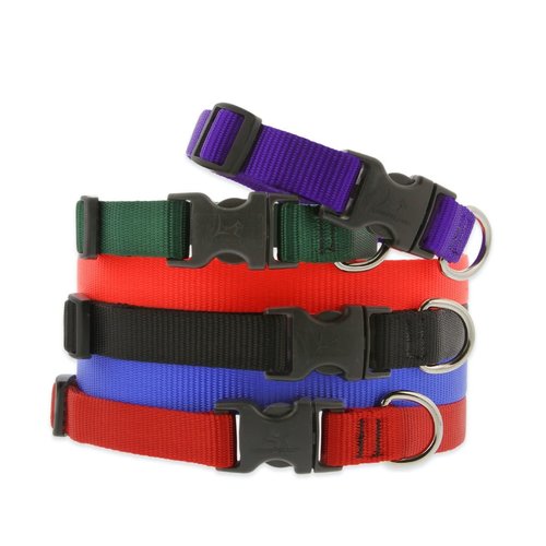 Lupine Pet Collar Basic Solid Lupine Pet Collar Basic Solid
