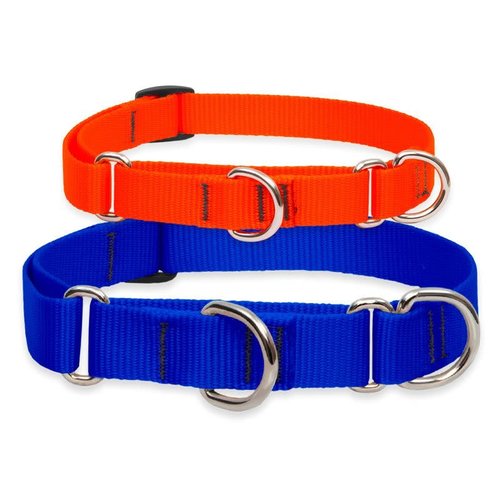 Lupine Pet Combo Basic Solid Lupine Pet Combo Basic Solid