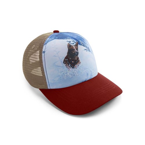 Ruffwear Gorra Artist Series Hat Ruffwear Gorra Artist Series Hat