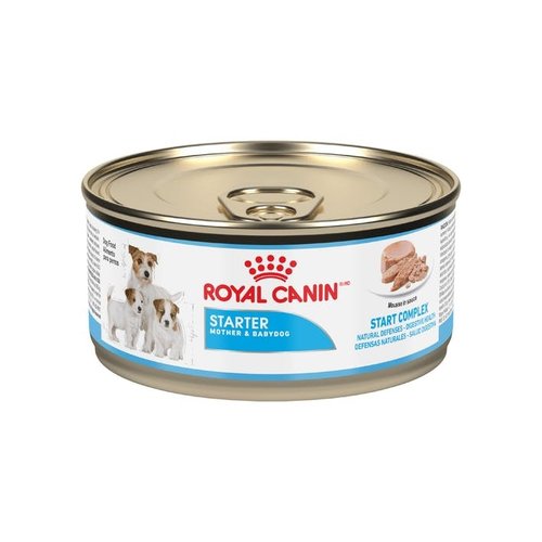 Royal Canin Canine Lata Starter Mousse 165 g * Royal Canin Canine Lata Starter Mousse 165 g *