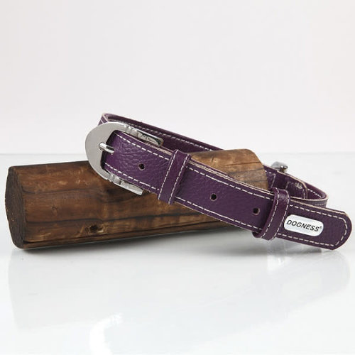 Dogness Collar Luxury Dogness Collar Luxury