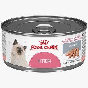 Royal Canin Feline Lata Kitten 85 g