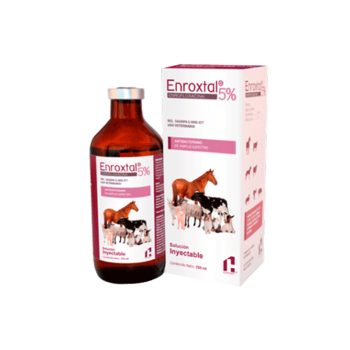 Laboratorio Chinoin Enroxtal Sol. Iny 5% 50 ml Laboratorio Chinoin Enroxtal Sol. Iny 5% 50 ml