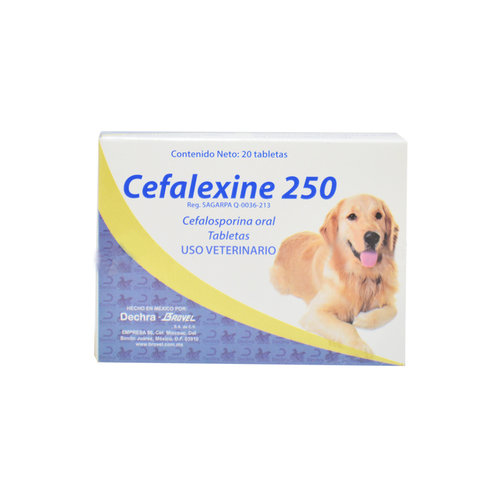 Laboratorio Brovel Cefalexine 250 mg 20 Pza. Laboratorio Brovel Cefalexine 250 mg 20 Pza.