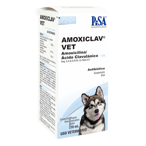 Laboratorio Pisa Amoxiclav Vet Polvo P/Susp. Oral 70 mg Laboratorio Pisa Amoxiclav Vet Polvo P/Susp. Oral 70 mg