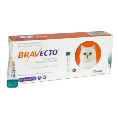 Laboratorio MSD Bravecto Spot On Cat 250 mg Laboratorio MSD Bravecto Spot On Cat 250 mg