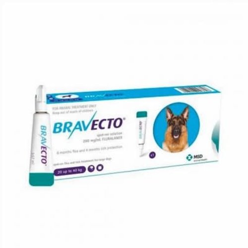 Laboratorio MSD Bravecto Spot On 1000 mg Laboratorio MSD Bravecto Spot On 1000 mg