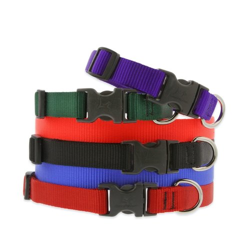 Lupine Pet Collar Basic Solids Lupine Pet Collar Basic Solids