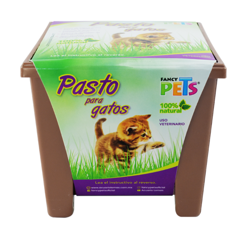 Fancy Pets Pasto de Trigo para Gatos Fancy Pets Pasto de Trigo para Gatos