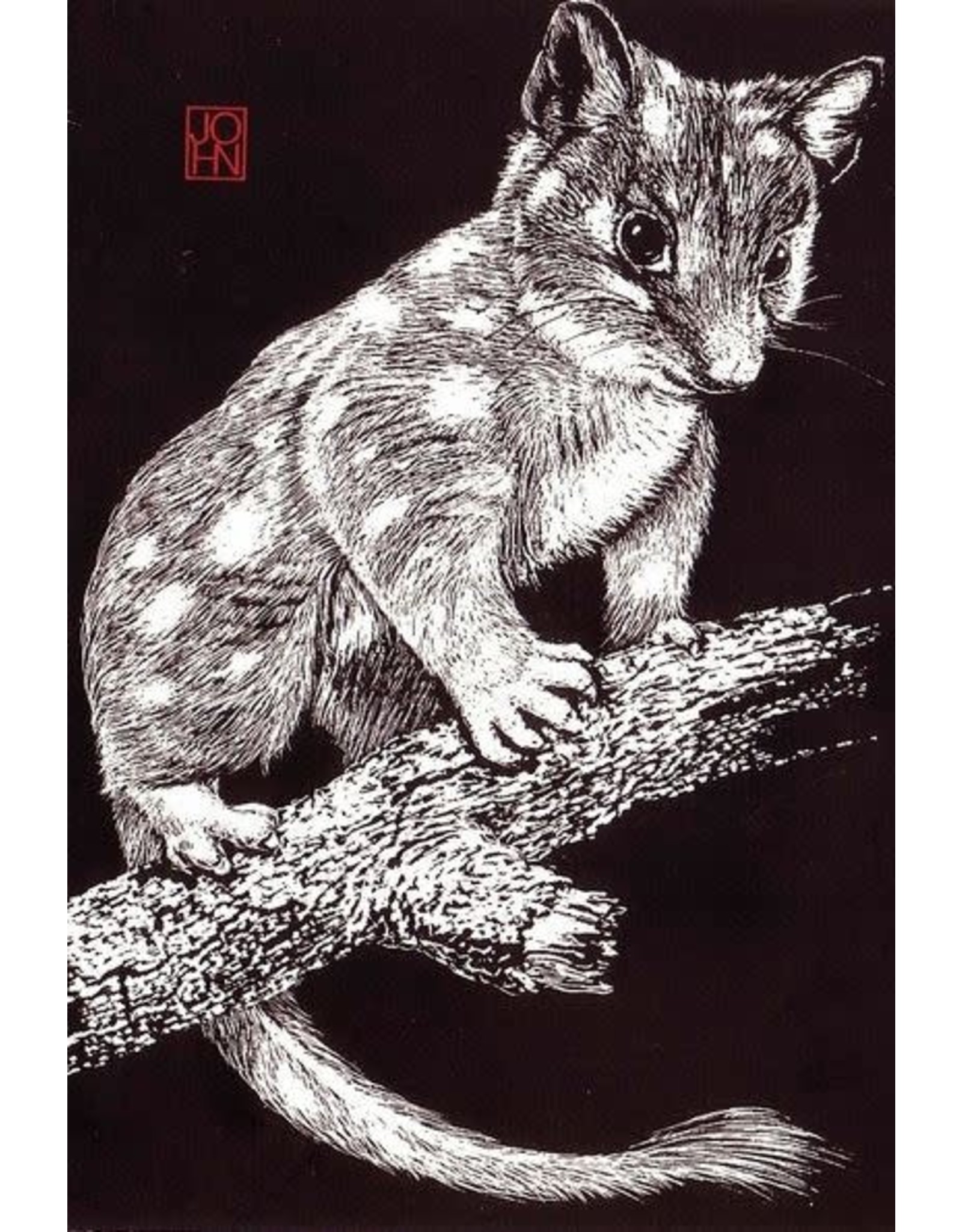 Fauna Cards designed by John Payne