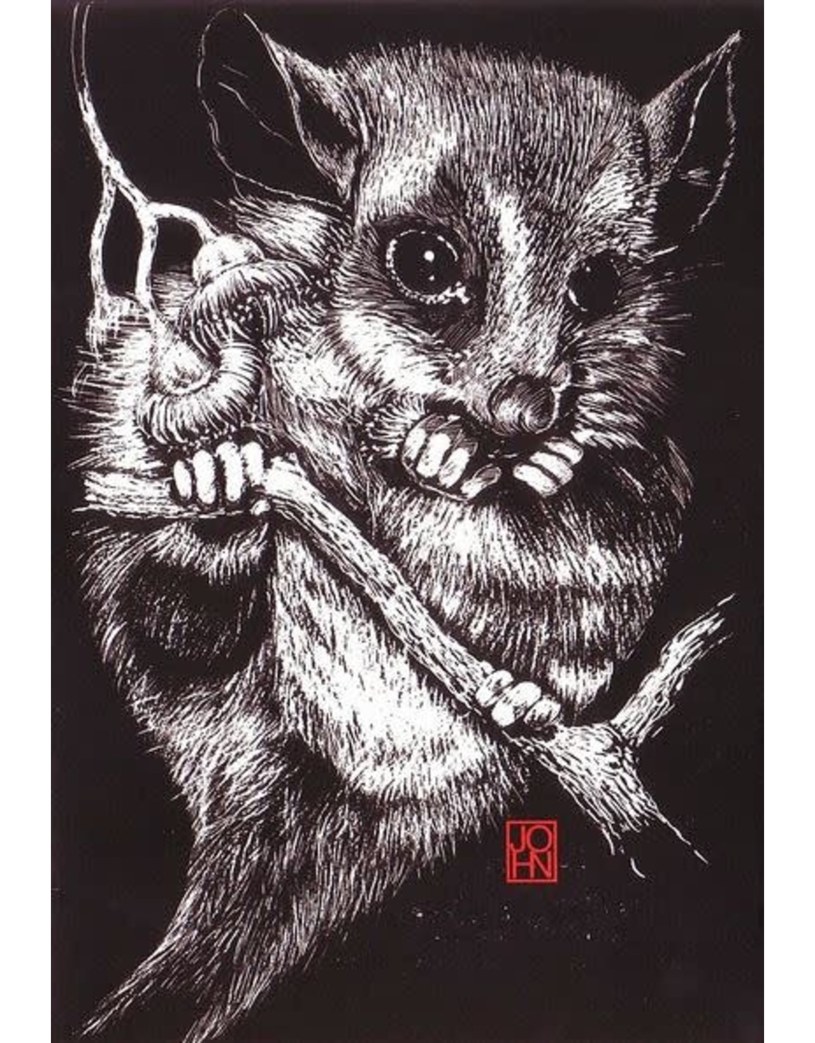 Fauna Cards designed by John Payne