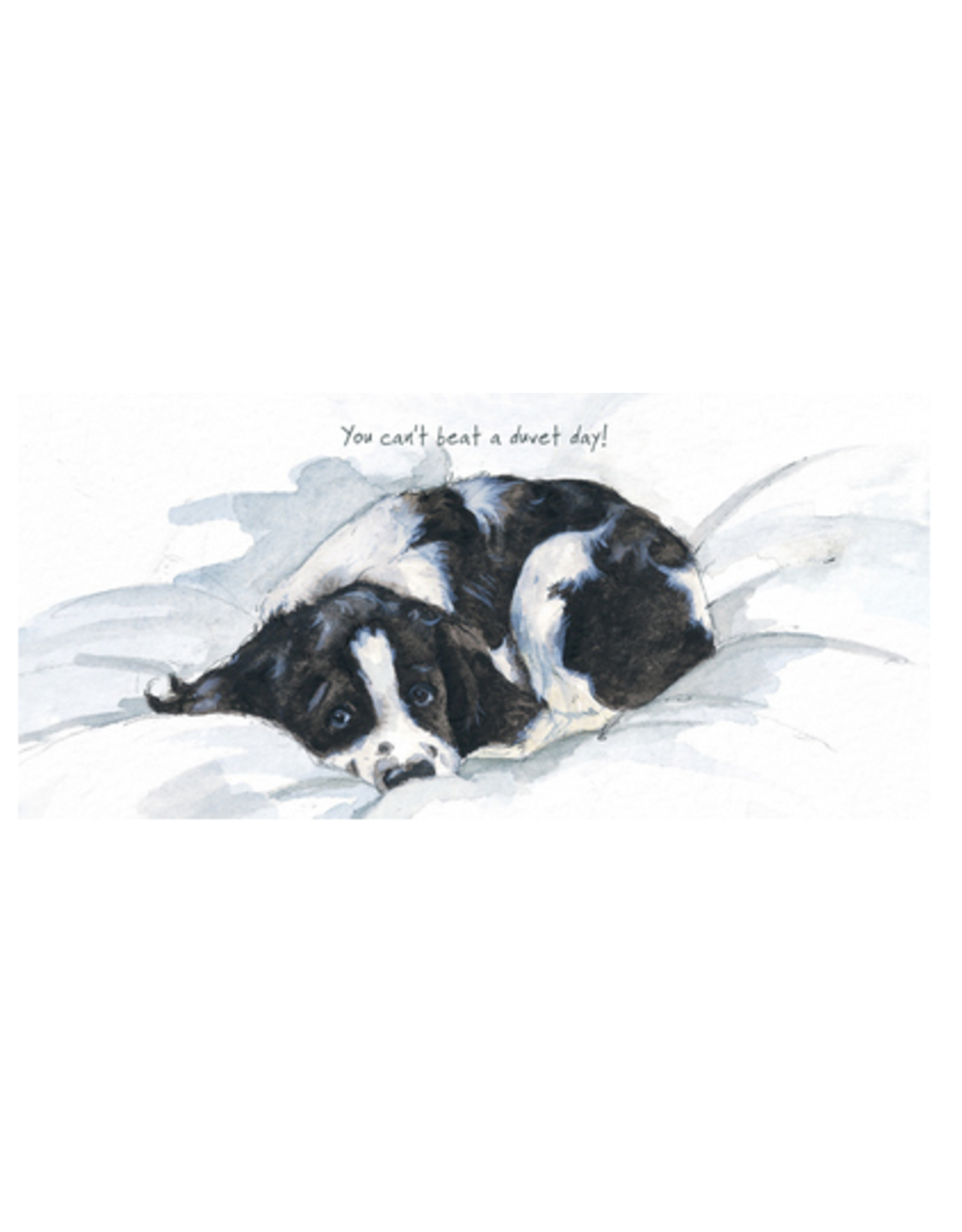 Watercolour Pet Celebrations Cards
