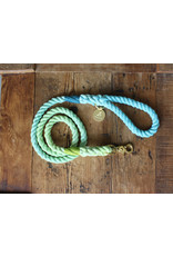 Ted & Patrick Tallebudgera Dog Lead with Brass Fittings