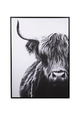 Highland Cow Printed Artwork