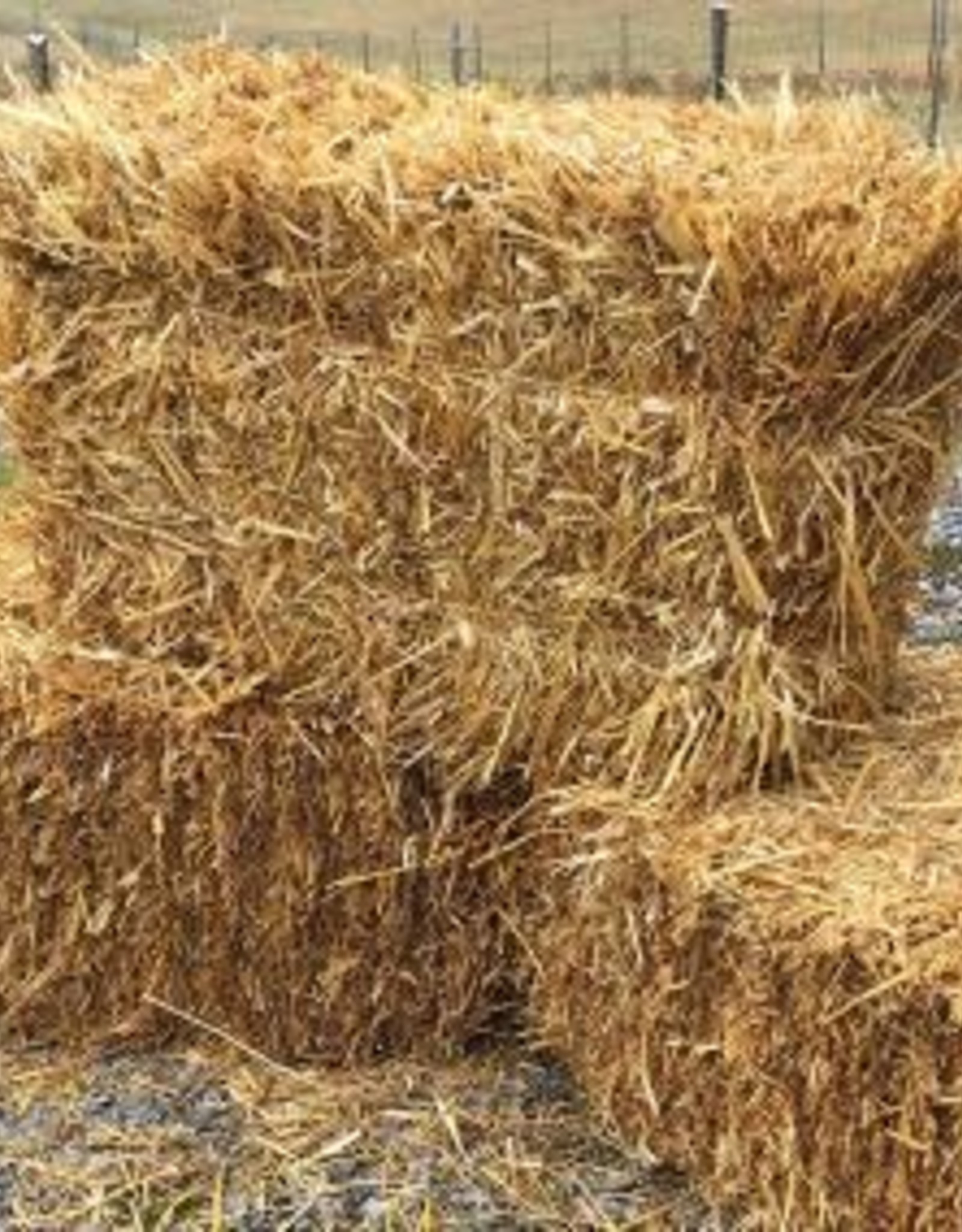 Square Straw Bale
