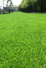 GardenMark Artificial Grass "Kentucky" 1sqft