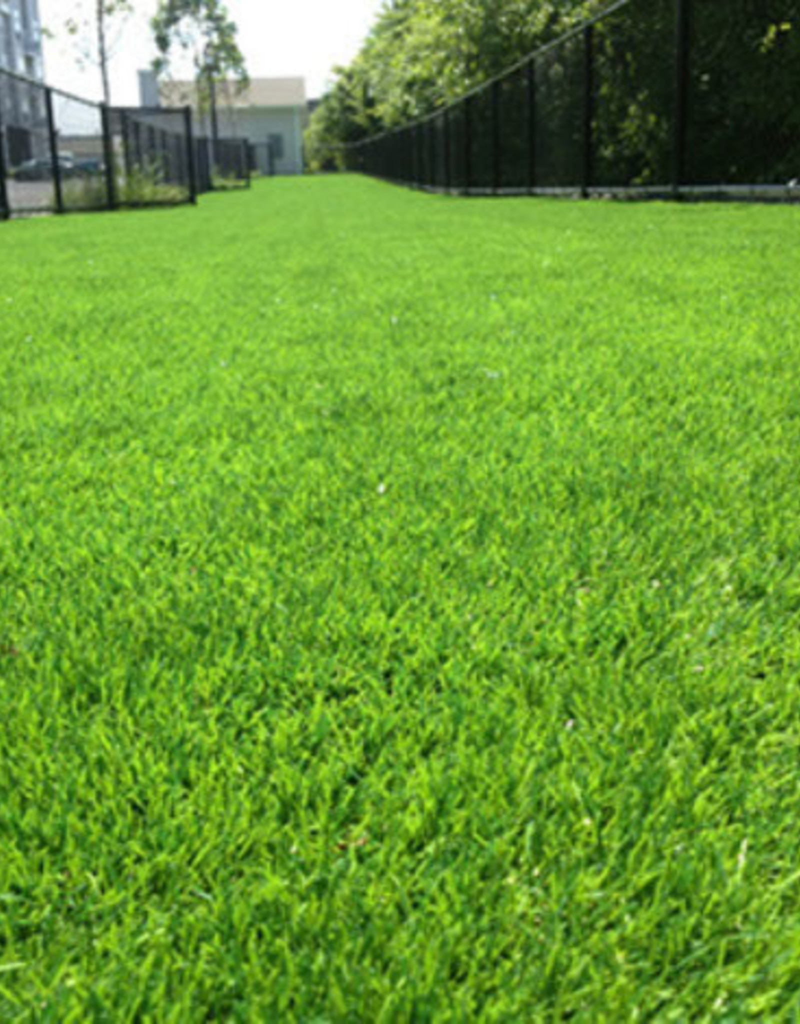GardenMark Artificial Grass "Kentucky" 1sqft