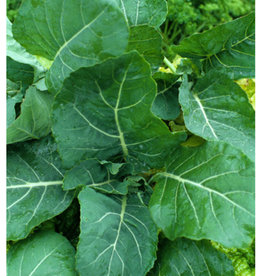 Georgia Southern Collards by the 1/2 oz